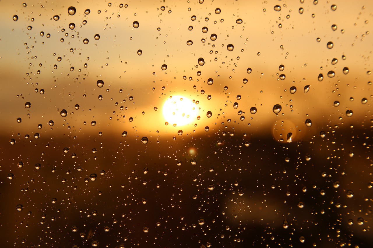 rain, sun, window-3940580.jpg